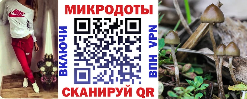 Галлюциногенные грибы Cubensis  Купить  Белорецк 